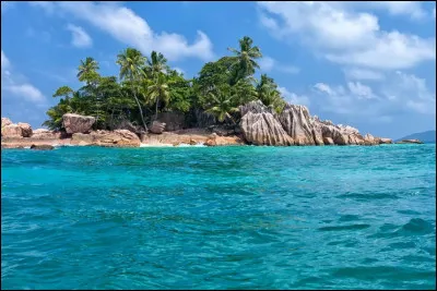 Qu'est-ce que tu emporterais sur une île déserte ? (1)