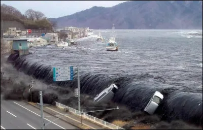 Un tremblement de terre survenu au large des côtes japonaises provoque un tsunami qui entraîne une grande catastrophe pour le Japon. Il atteint et détruit la centrale de Fukushima qui contamine le Japon. En quelle année cette catastrophe a-t-elle eu lieu ?