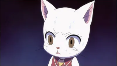 Qui est ce personnage de la guilde de Fairy Tail ?