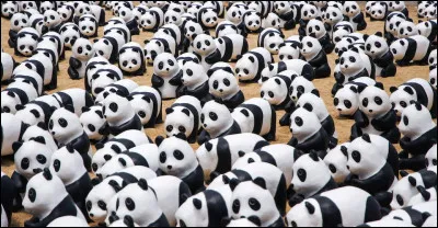 Qui sont les animaux sur la photo ?