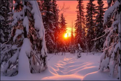 Comment dit-on 《hiver》 en anglais ?