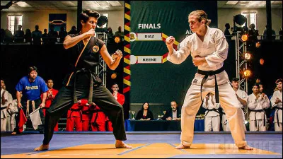 Tu participes à un tournoi.
 Tu as réussi à aller en finale mais si ton sensei a payé l'arbitre pour que tu gagnes, que fais-tu ?