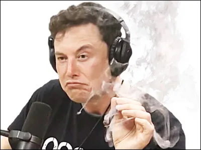 Qui sera soutenu par Elon Musk aux élections présidentielles américaines ?