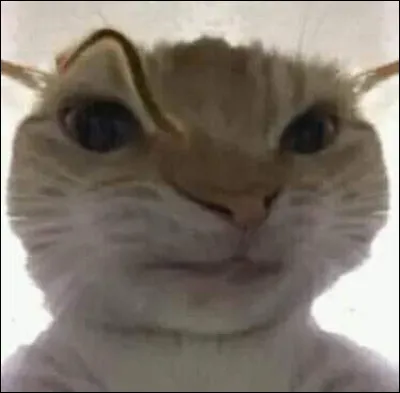 Le youtubeur le plus populaire dans le monde est...