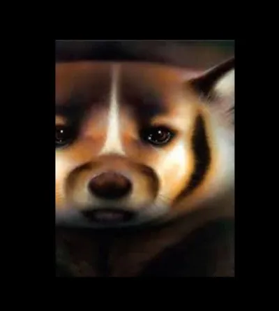 M : Minuit.
Quelle est son espèce et son genre ?