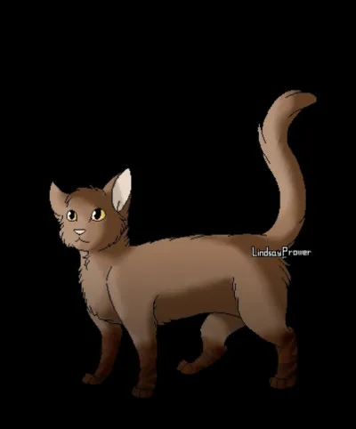 N : Nageoire Agile.
A-t-il des chatons et qui est sa compagne ?