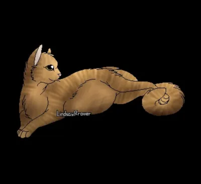 O : Orage du Matin.
Qui sont ses demi-frères et demi-surs ?