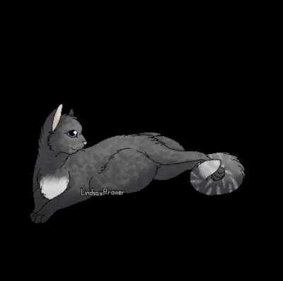 R : Rivière d'Argent.
Comment a-t-elle trouvé la mort et à quel âge ?