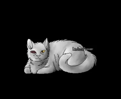 U : Un-il .
Qu'est-ce qui est vrai ?