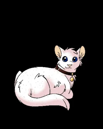 Z : Zack.
À quelle famille appartient ce chat ?