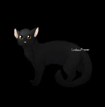 B : Baie de Ronce.
Qui est son mentor ?