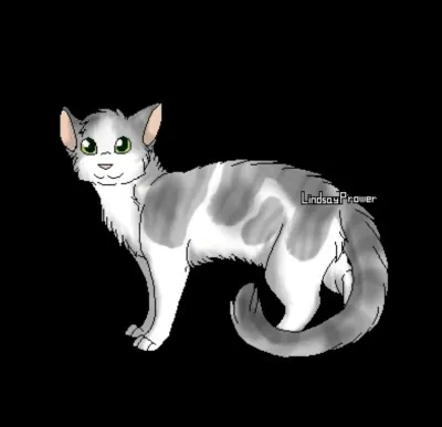 D : Douce Brise.
Combien de chatons a-t-elle eus ?