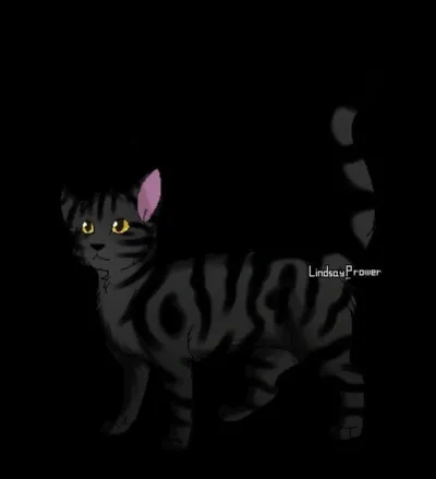 E : Éclair Noir.
Qui sont ses demi-frères et demi-surs ?