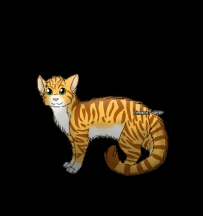 F : Fleur d'Étoile.
Qui est son compagnon et combien de chatons ont-ils ensemble ?