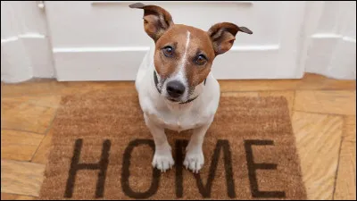 Avez-vous assez de place pour lui ?