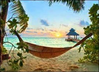 Tropique : qui chantait "Sous les sunlights des tropiques" ?