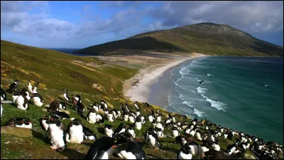 Oc&eacute;anique : Nous cherchons l'oc&eacute;an qui entoure les &icirc;les Malouines !