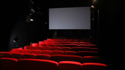 Magnifique : qui jouait dans le film "Le Magnifique" ?