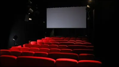 Magnifique : qui jouait dans le film "Le Magnifique" ?