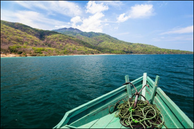 Afrique : qui chantait "Afrique adieu" ?