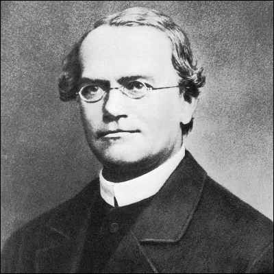 Quel l&eacute;gume, cultiv&eacute; depuis la Pr&eacute;histoire et li&eacute; &agrave; Gregor Mendel, peut &ecirc;tre cass&eacute; ?