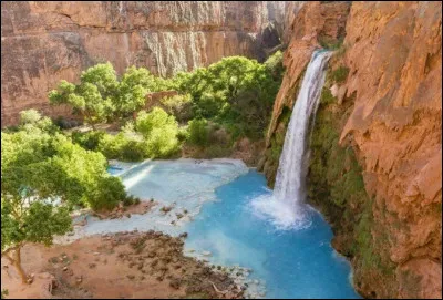 Le chutes d'Havasu, sur un affluent du fleuve Colorado, sont des chutes américaines. Dans quel État américain peut-on les voir ?