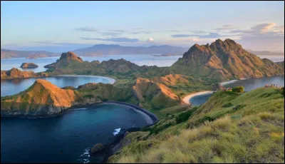 Cette île d'Indonésie porte le nom des effrayants reptiles dont elle est le lieu d'habitat. Merveille de la nature, sa faune est protégée et l'environnement est prioritaire. Quel est le nom de cette île ?