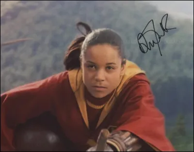 Quel est le poste de Quidditch d'Angelina Johnson ?