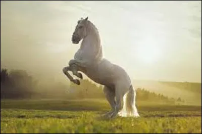 Lequel de ces mots n'est pas un synonyme de "cheval" ?