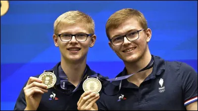 Quel sport pratiquent les deux frères Lebrun ?