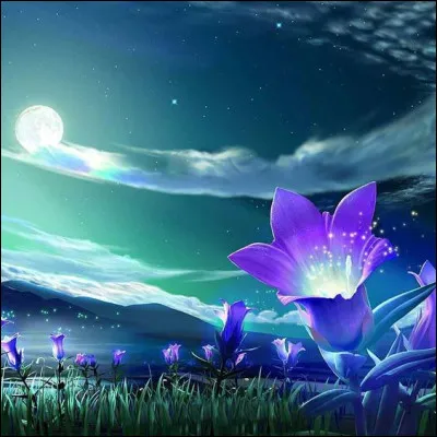 Enfin qui chantait "♪ ♪ Je viens du ciel et les étoiles entre elles ne parlent que de toi..." ?