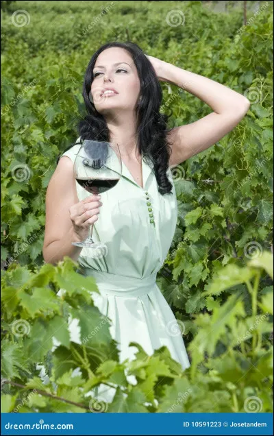 Qu'est-ce qu'une dégustation verticale ?