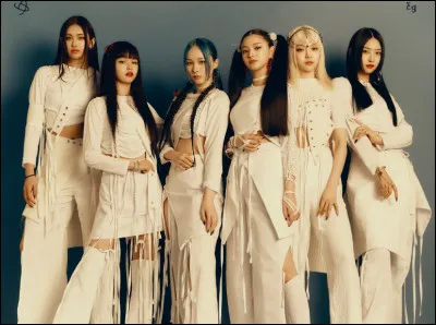 Si tu étais dans un groupe, tu serais...