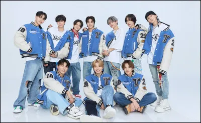 Si tu étais dans un groupe, tu serais...