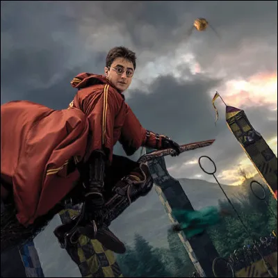Quel poste occupes-tu au quidditch ?