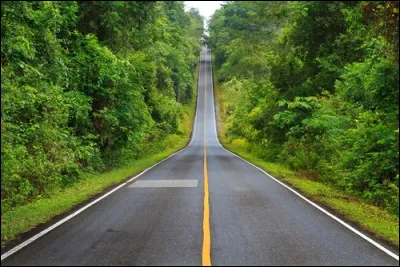 Entre toute autre chose
J'aurais dû m'arrêter faire une pause
Mais j'étais trop pressé
N'aurait-on pas pu attendre un été ?

Où donc était De Palmas toute la journée ?