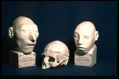 Quel est le nom de la théorie pseudo-scientifique selon laquelle les bosses du crâne d'un être humain reflètent son caractère ?