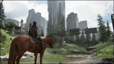 Quel est le nom du cheval d'Ellie ?