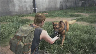 Comment le chien d'Abby s'appelle-t-il ?