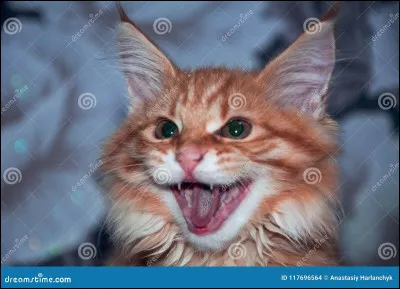 Ça y est, tu es enfin guerrier ! Ou guérisseur ! Tu voudrais t'appeler...