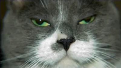 Nuage d'Eau termine son apprentissage et devient C&oelig;ur d'Eau ; tu te sens...