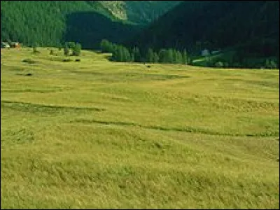 Pendant la R&eacute;volution, quel nom portait la ville de Guise, dans l'Aisne ?