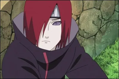 Parmi tous les membres présentés, qui sont les deux premiers amis de Nagato ?