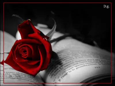 L'autre te propose un weekend en duo amoureux. Acceptes-tu ?