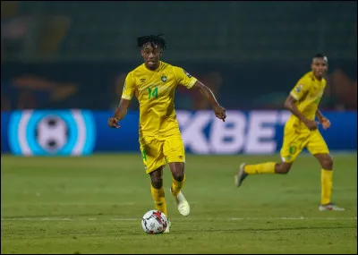 Si je vous dis "Zimbabwe", vous pourrez me dire...