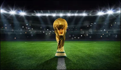 En 2010, la Coupe du monde de football a eu lieu en Afrique, pour la première fois. C'est l'Espagne qui a gagné la finale. Dans quel pays cette Coupe du monde a-t-elle eu lieu ?