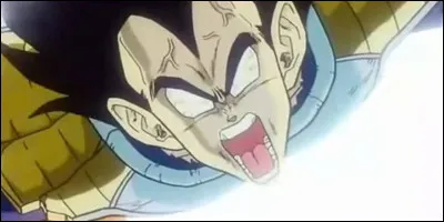 Quel est votre tempérament ou votre humeur globale ?