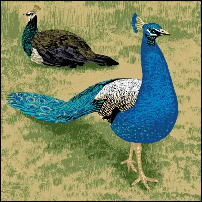 Yvette Guilbert : Le fiacre. (la chanson est de 1934)
"Un fiacre allait, trottinant, cahin, caha, hu, dia, hop là...
Du fiacre une dame sort et dit, cahin, caha, hu, dia, hop là
Du fiacre une dame sort et dit "ho chouette, ---, c'est mon mari
Y a plus besoin d'nous cacher, cahin, caha, hu, dia, hop là
Y a plus besoin de nous cacher, ho donne donc cent sous à c'cocher"

À qui parle-t-elle ?