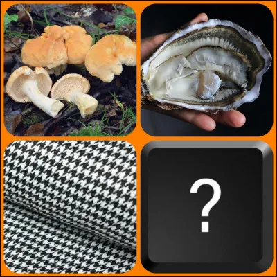 Quelle est la bonne image ?