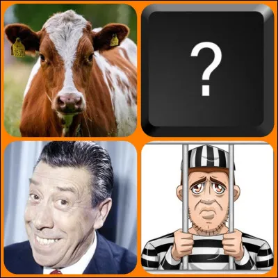 Quelle est la bonne image ?